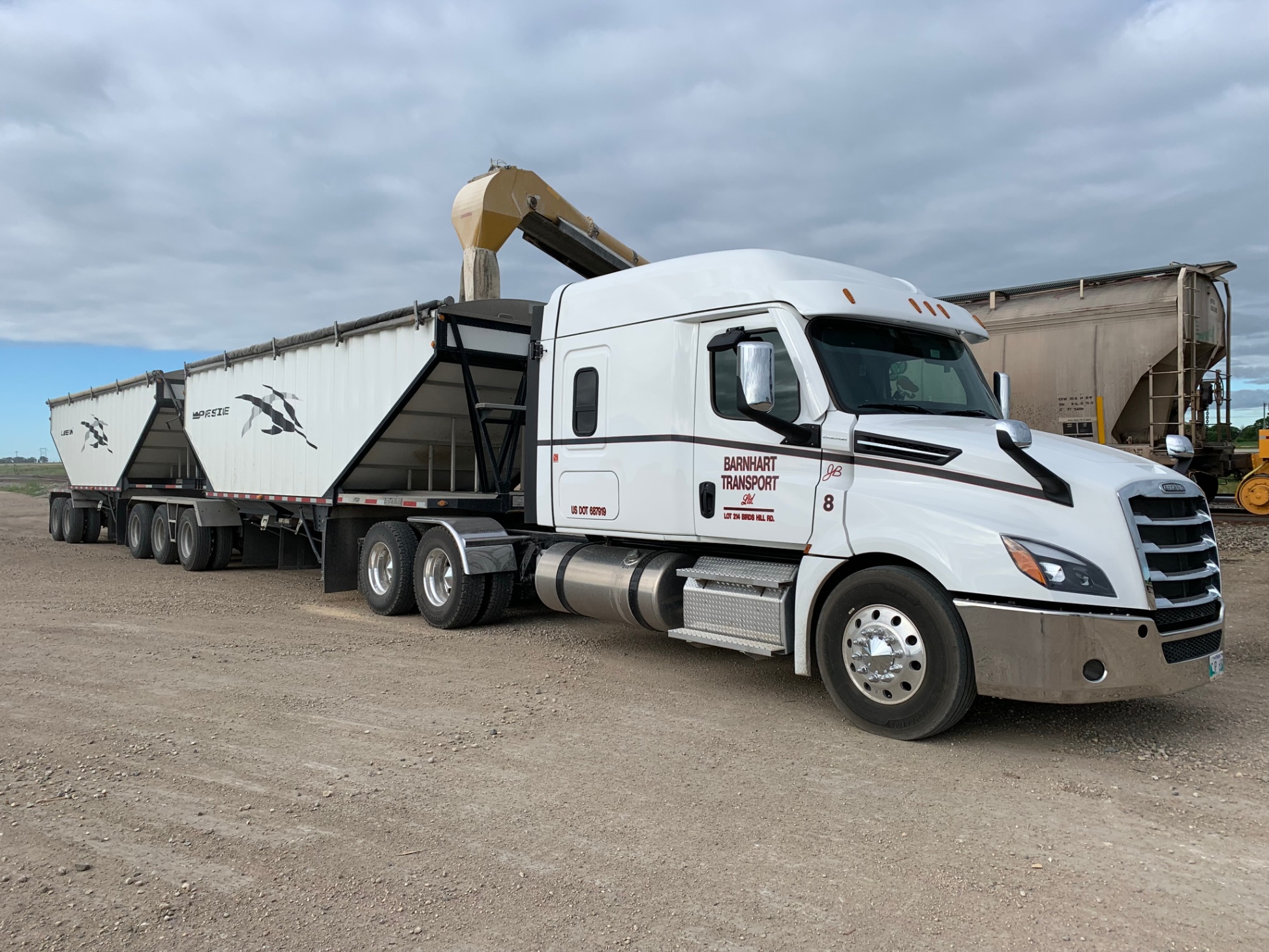 Barnhart Transport double trailer loading grain from an overhead chute